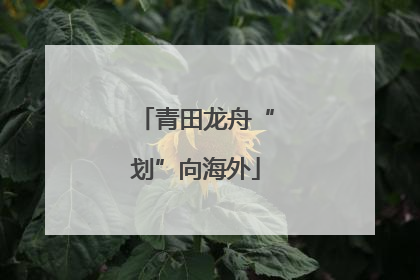 青田龙舟“划”向海外