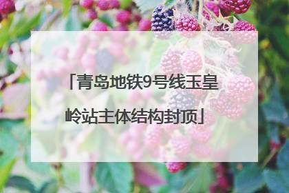 青岛地铁9号线玉皇岭站主体结构封顶