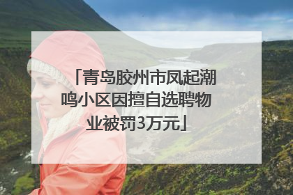 青岛胶州市凤起潮鸣小区因擅自选聘物业被罚3万元