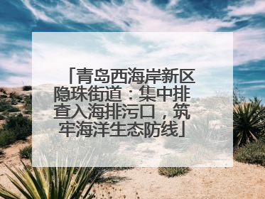 青岛西海岸新区隐珠街道：集中排查入海排污口，筑牢海洋生态防线