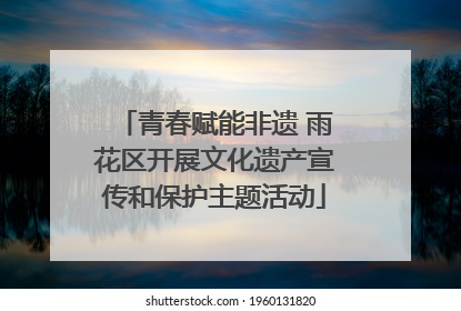 青春赋能非遗 雨花区开展文化遗产宣传和保护主题活动