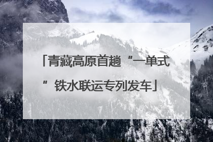 青藏高原首趟“一单式”铁水联运专列发车