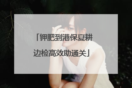 钾肥到港保夏耕 边检高效助通关