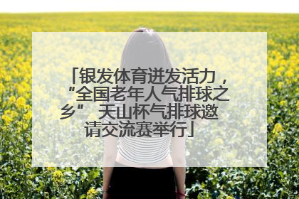 银发体育迸发活力，“全国老年人气排球之乡” 天山杯气排球邀请交流赛举行