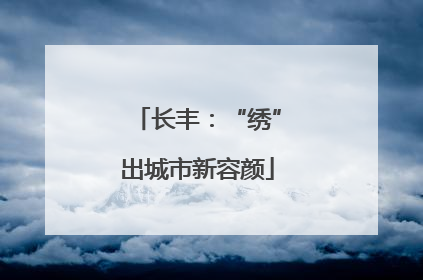 长丰：“绣”出城市新容颜