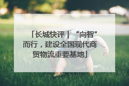 长城快评｜“向智”而行，建设全国现代商贸物流重要基地