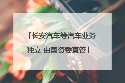 长安汽车等汽车业务独立 由国资委直管