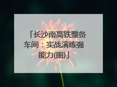 长沙南高铁整备车间：实战演练强能力(图)