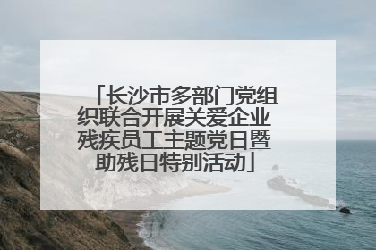 长沙市多部门党组织联合开展关爱企业残疾员工主题党日暨助残日特别活动