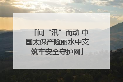 闻“汛”而动 中国太保产险丽水中支筑牢安全守护网