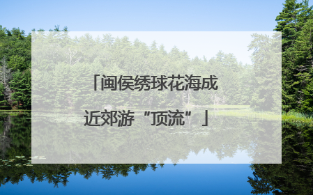 闽侯绣球花海成近郊游“顶流”