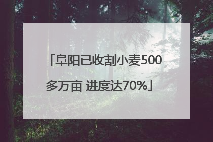 阜阳已收割小麦500多万亩 进度达70%