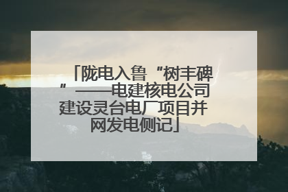 陇电入鲁“树丰碑”——电建核电公司建设灵台电厂项目并网发电侧记