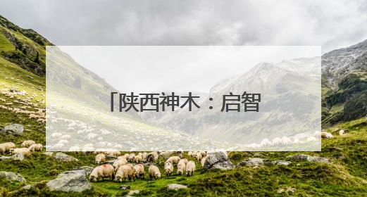 陕西神木：启智润心担使命 培根铸魂育新人