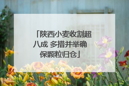 陕西小麦收割超八成 多措并举确保颗粒归仓