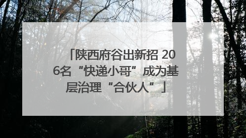 陕西府谷出新招 206名“快递小哥”成为基层治理“合伙人”