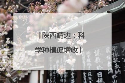 陕西靖边：科学种植促增收
