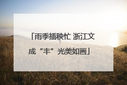 雨季插秧忙 浙江文成“丰”光美如画
