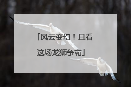 风云变幻！且看这场龙狮争霸