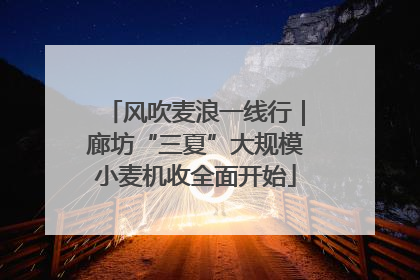 风吹麦浪一线行｜廊坊“三夏”大规模小麦机收全面开始