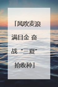 风吹麦浪满目金 奋战“三夏”抢收种