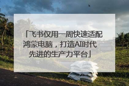 飞书仅用一周快速适配鸿蒙电脑，打造AI时代先进的生产力平台