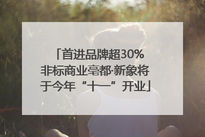 首进品牌超30% 非标商业亳都·新象将于今年“十一”开业