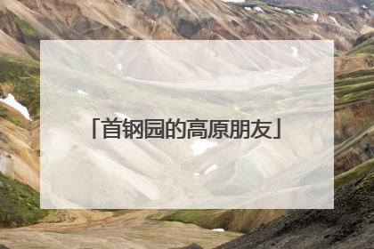 首钢园的高原朋友