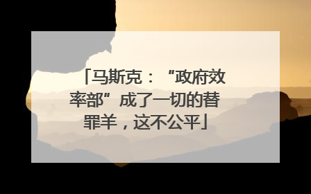 马斯克：“政府效率部”成了一切的替罪羊，这不公平