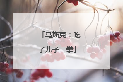 马斯克:吃了儿子一拳