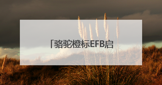 骆驼橙标EFB启停电池：引领高性价比启停电池新选择