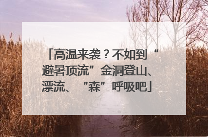 高温来袭？不如到“避暑顶流”金洞登山、漂流、“森”呼吸吧