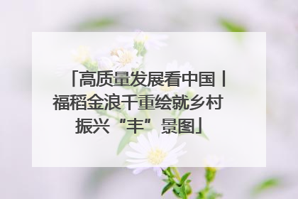 高质量发展看中国丨福稻金浪千重绘就乡村振兴“丰”景图