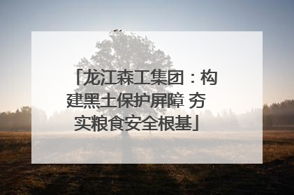 龙江森工集团：构建黑土保护屏障 夯实粮食安全根基