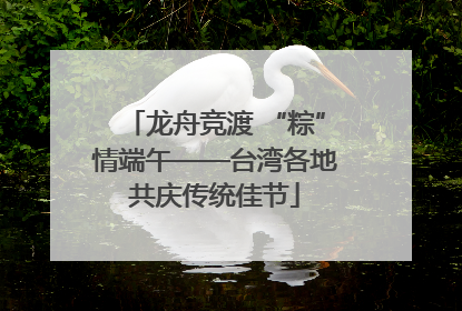 龙舟竞渡 “粽”情端午——台湾各地共庆传统佳节