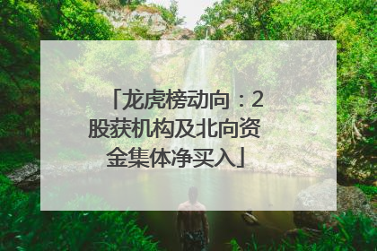 龙虎榜动向：2股获机构及北向资金集体净买入