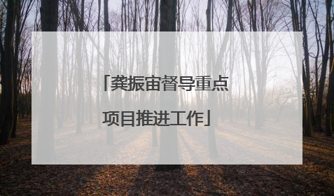 龚振宙督导重点项目推进工作