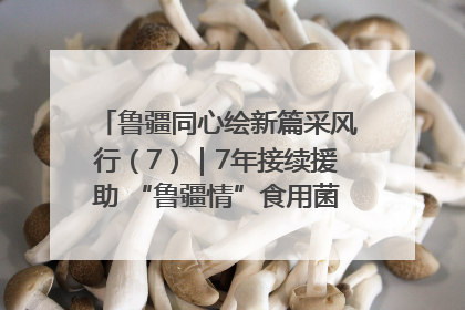 鲁疆同心绘新篇采风行（7）｜7年接续援助 “鲁疆情”食用菌从1.0走向4.0