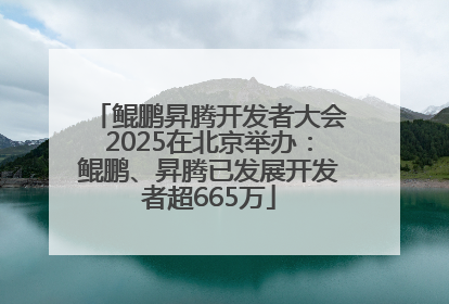 鲲鹏昇腾开发者大会2025在北京举办：鲲鹏、昇腾已发展开发者超665万