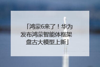 鸿蒙6来了！华为发布鸿蒙智能体框架 盘古大模型上新