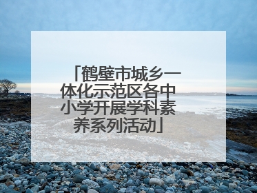 鹤壁市城乡一体化示范区各中小学开展学科素养系列活动