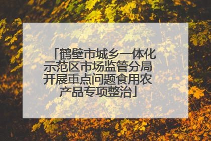 鹤壁市城乡一体化示范区市场监管分局开展重点问题食用农产品专项整治
