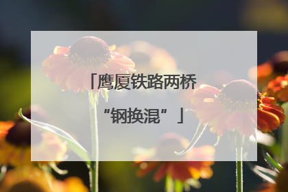 鹰厦铁路两桥“钢换混”
