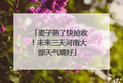 麦子熟了快抢收！未来三天河南大部天气晴好