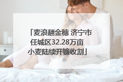 麦浪翻金穗 济宁市任城区32.28万亩小麦陆续开镰收割