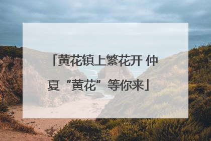 黄花镇上繁花开 仲夏“黄花”等你来