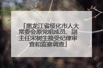 黑龙江省绥化市人大常委会原党组成员、副主任宋树生接受纪律审查和监察调查