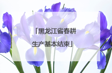 黑龙江省春耕生产基本结束