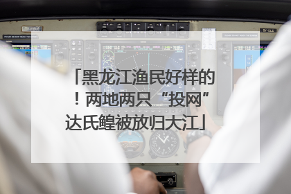 黑龙江渔民好样的！两地两只“投网”达氏鳇被放归大江