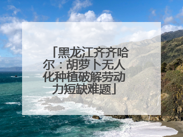 黑龙江齐齐哈尔：胡萝卜无人化种植破解劳动力短缺难题